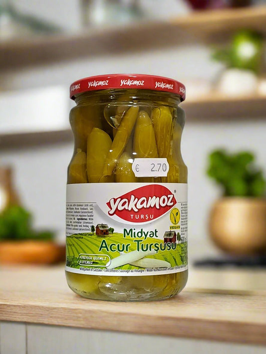 Yakamoz MidyatAcur Tursusu